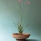 BB11_Rel BERGS-POTTER_ADA_RAW_RARO_IMG_4881_JK.jpg