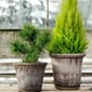 BB16_Rel bergs-potter-kbenhavn-potte-gra-14cm-1.jpg
