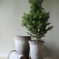 BB16_Rel BERGS-POTTER_IMG_4616_CHRISTMAS-2022_KENHAVNER_TALL_NOGR_JK.jpg