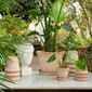 BB18_Rel Bergs_Potter_Copenhagen_Raw_Rosa_1.jpg