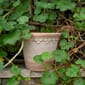 BB18_Rel Bergs_Potter_Copenhagen_Raw_Rosa_5.jpg
