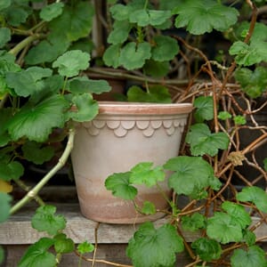 BB18_Rel Bergs_Potter_Copenhagen_Raw_Rosa_5.jpg