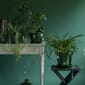 BP01_Rel Bergs_Potter_Copenhagen_Glazed_Green_1.jpg