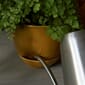3710039_Rel MENU_Hydrous_Planter_Hydrous_Watering_Can_5.jpg