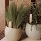 3721649_Rel MENU_LS_Plantas_Planter_Hydrous_Watering_Stick.jpg