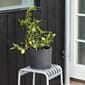507984_Rel Palissade Stool Hot Galvanised_Plant Pot With Saucer XXL black.jpg