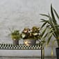 507992_Rel Palissade Bench olive_Plant Pot XL grey_Plant Pot L grey.jpg