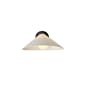 150223_DCWE_Plume_1549_Cutout.jpg