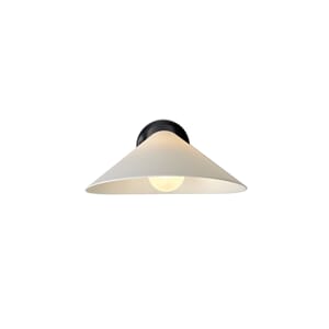 150223_DCWE_Plume_1549_Cutout.jpg