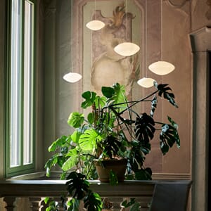ATD_Retail_2024_Mist AP16_Mist AP17.jpg