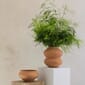 BERGS-POTTER_BELLE_rosa_vase_bowl_S_IMG_1316-2_JK.jpg