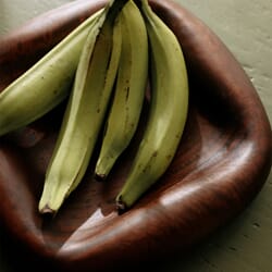 250212_hkliving_product_plus_hr_006.jpg