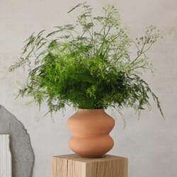 Belle Raw Rosa Vase H25