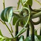 BERGS-POTTER_plant-stake_Folk_Yuma_mogr_6564_jk.jpg