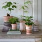 BERGS-POTTER_RAW_RARO_NOGR_KØBENHAVNER_TALL_LOW_8E0A2414_marienlyst_TBH.jpg
