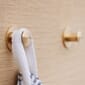MOEBE_Knob_IC_Brass_High-Res_01.jpg