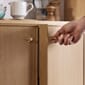 MOEBE_Knob_IC_Brass_High-Res_03.jpg