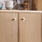 MOEBE_Knob_IC_Brass_High-Res_05.jpg