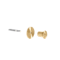 MOEBE_Knob_NB_Brass_High-Res_03.png