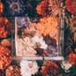 Monoblokk flower 1.jpg