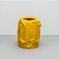 R1009 - empire yellow - Extra 1.jpg