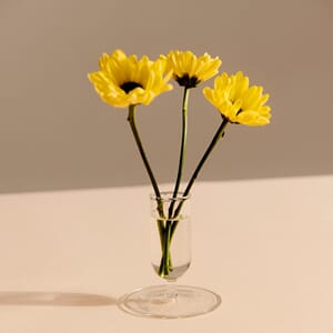 Tiny Vase