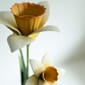 undefined (14).jpg