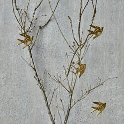 4 stk | Pyntefugler Golden