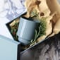 BERGS-POTTER_glazed_Hoff_mibl_IMG_1990_Scented_Christmas_JK01.jpg