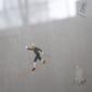 PO-SKI_Poster_Skiers_50x70cm_5_Fine_Little_Day.jpg