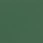 AC420-D302_Teal_green_2.0_polypropylene.jpg