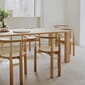 New_Works_A_Poetic_Disclosure_Bukowski_Chair_French_Cane_Oak.jpg