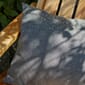 1550605_1960561__Between_Lines,_Close_Up_M.jpg