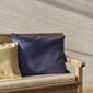 1961257_1961252_Barriere_Pillows,_Drachmann_M_2.jpg