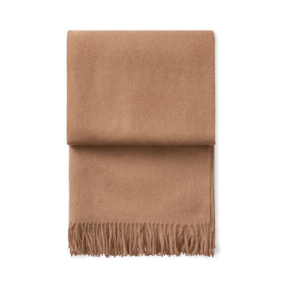 70001 - Camel - Extra 1.jpg