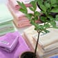 Bongusta_Solid_Towels_ 235_Lifestyle.jpg