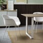 Fiber-armchair-tube-white-70-70-solid-oak-ply-rug-burnt-orange-enfold-grey-beam-muuto-org.jpg