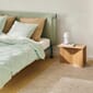 Tamoto_Bed_Metaphor_023_headboard_mint_turquoise_powder_coated_frame_Slit_Table_Wood_Oblong_wb_lacquer_oak_Apollo_Portable.jpg