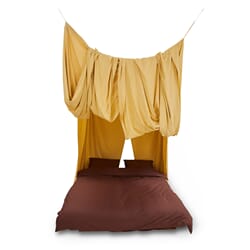 Bed canopy golden hour
