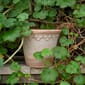 KR12S_Rel Bergs_Potter_Copenhagen_Raw_Rosa_5.jpg