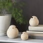201706_Rel sparrows_family_natural.jpg