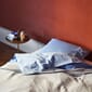 542005_Rel Duo_Bed_Linen_Pillow_Case_sky_blue_Duo_Bed_Linen_Duvet_Cover_sky_blue_DLM_toffee.jpg