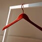 AB289-A908-AB91_Rel Coat Hanger Set of 4 cherry red_Loop Stand Wardrobe white.jpg
