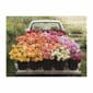 ABG141_Rel floret-farms-cut-flower-garden-2-sided-500-piece-puzzle-2-sided-500-piece-puzzles-galison-241130_2400x-600x600.jpg