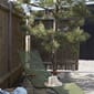 10810-h_Rel CLICK_Sunlounger_J4A0736_low-res.jpg
