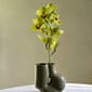 508176_Rel W and S Chubby Vase olive green 02.jpg